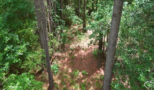 Photo #17 of Off of Ruby's Ln., Maysville, NC 5.3 acres
