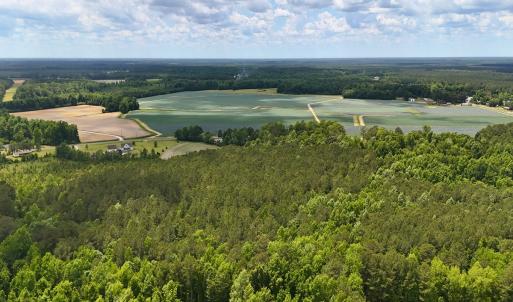 Photo #18 of Off of Ruby's Ln., Maysville, NC 5.3 acres