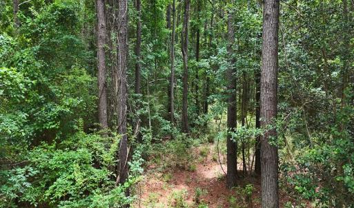 Photo #22 of Off of Ruby's Ln., Maysville, NC 5.3 acres