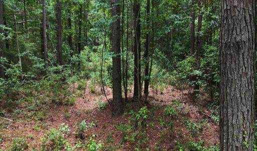 Photo #23 of Off of Ruby's Ln., Maysville, NC 5.3 acres