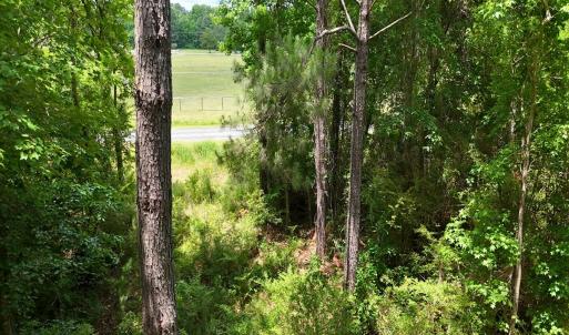 Photo #29 of Off of Ruby's Ln., Maysville, NC 5.3 acres