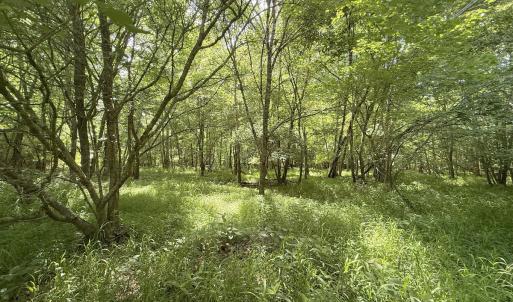 Photo #10 of Off Tar River Rd, Oxford, NC 14.7 acres