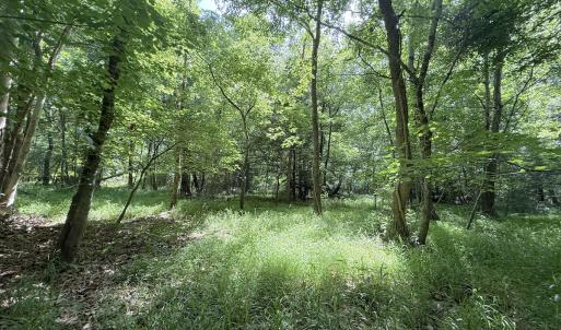 Photo #20 of Off Tar River Rd, Oxford, NC 14.7 acres