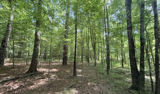 Photo #6 of Off Tar River Rd, Oxford, NC 14.7 acres