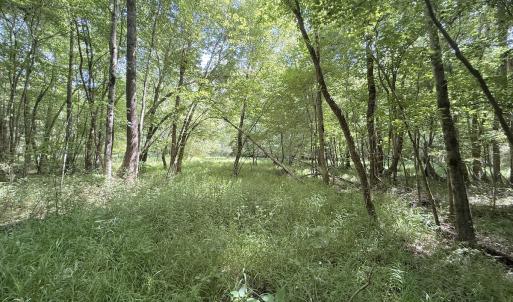 Photo #7 of Off Tar River Rd, Oxford, NC 14.7 acres