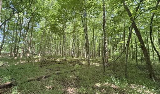 Photo #9 of Off Tar River Rd, Oxford, NC 14.7 acres