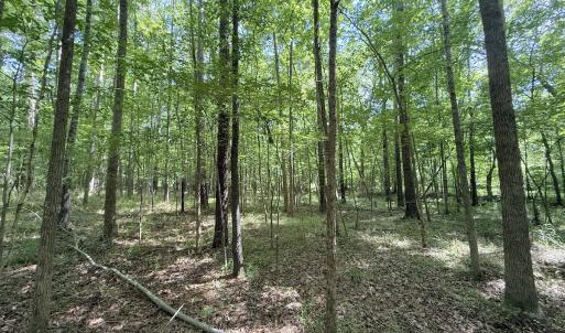 Photo #22 of Off Tar River Rd, Oxford, NC 14.7 acres
