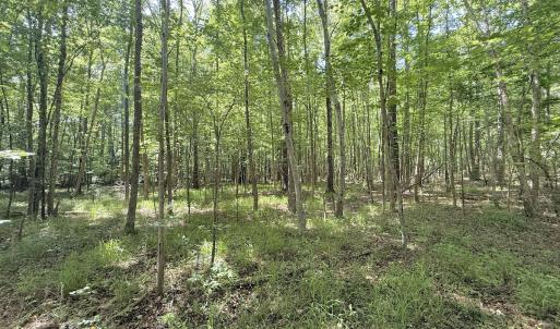 Photo #23 of Off Tar River Rd, Oxford, NC 14.7 acres