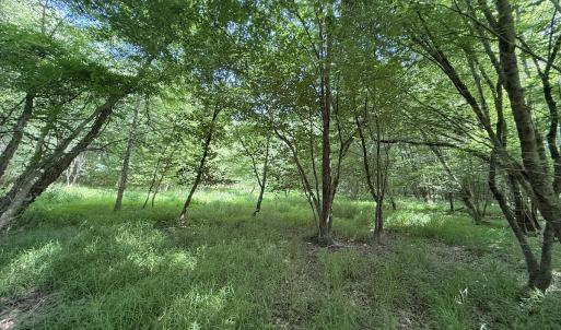 Photo #25 of Off Tar River Rd, Oxford, NC 14.7 acres