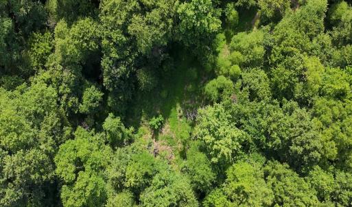 Photo #11 of Off Tar River Rd, Oxford, NC 14.7 acres