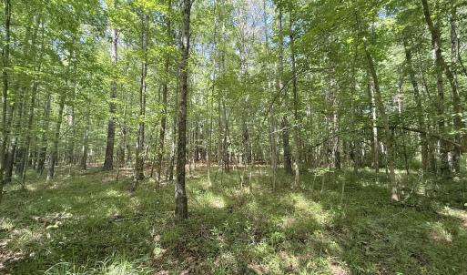 Photo #24 of Off Tar River Rd, Oxford, NC 14.7 acres