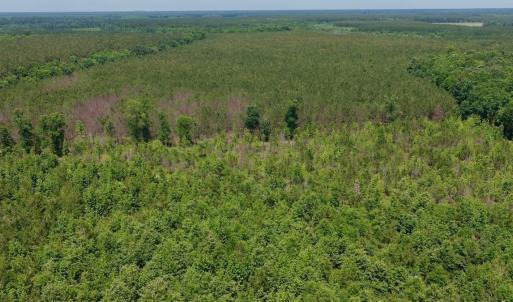 Photo #10 of Off Indian Woods Road, Windsor, NC 17.6 acres