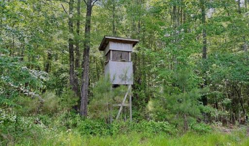 Photo #11 of Off Indian Woods Road, Windsor, NC 17.6 acres