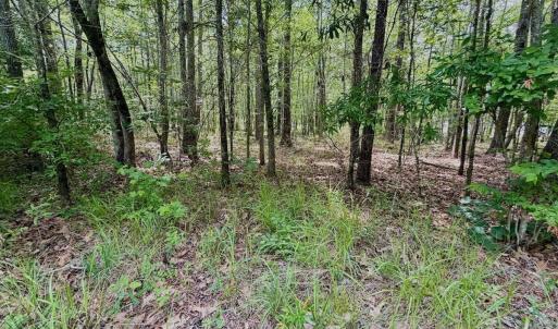 Photo #13 of Off Indian Woods Road, Windsor, NC 17.6 acres