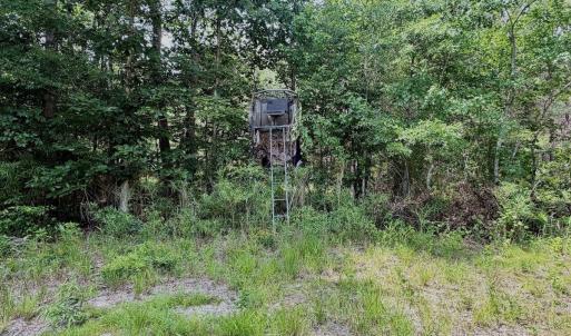 Photo #20 of Off Indian Woods Road, Windsor, NC 17.6 acres