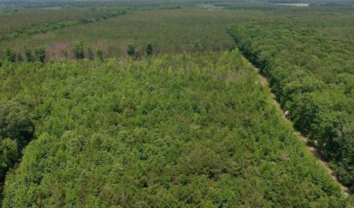 Photo #1 of Off Indian Woods Road, Windsor, NC 17.6 acres