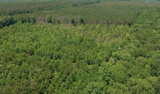 Photo #2 of Off Indian Woods Road, Windsor, NC 17.6 acres