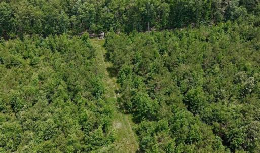 Photo #4 of Off Indian Woods Road, Windsor, NC 17.6 acres