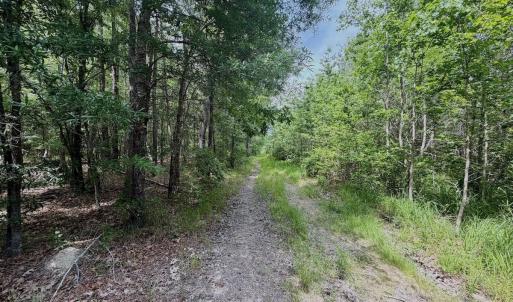 Photo #5 of Off Indian Woods Road, Windsor, NC 17.6 acres