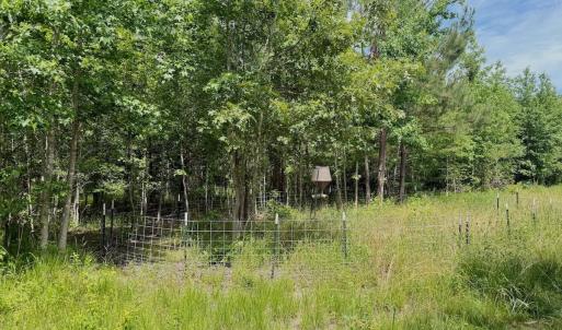 Photo #6 of Off Indian Woods Road, Windsor, NC 17.6 acres