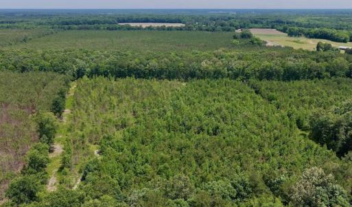 Photo #7 of Off Indian Woods Road, Windsor, NC 17.6 acres