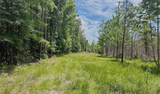 Photo #9 of Off Indian Woods Road, Windsor, NC 17.6 acres