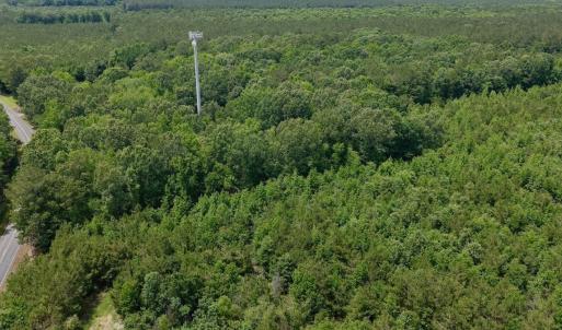 Photo #37 of Off Indian Woods Road, Windsor, NC 17.6 acres