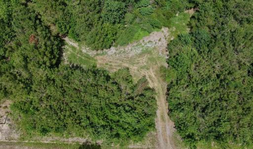 Photo #40 of Off Indian Woods Road, Windsor, NC 17.6 acres