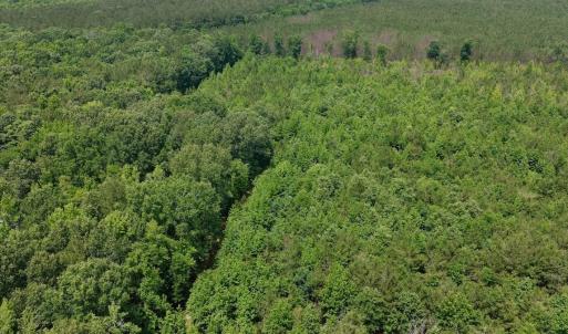 Photo #35 of Off Indian Woods Road, Windsor, NC 17.6 acres