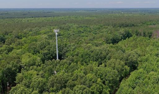 Photo #36 of Off Indian Woods Road, Windsor, NC 17.6 acres
