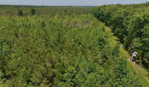 Photo #41 of Off Indian Woods Road, Windsor, NC 17.6 acres