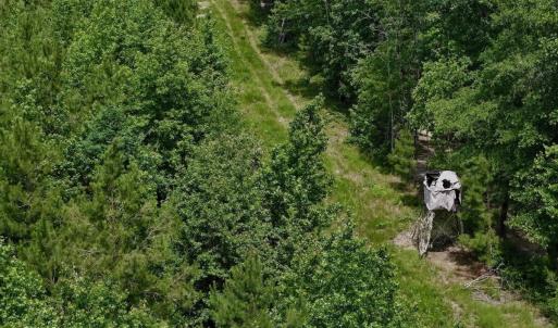 Photo #42 of Off Indian Woods Road, Windsor, NC 17.6 acres