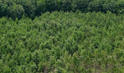 Photo #43 of Off Indian Woods Road, Windsor, NC 17.6 acres