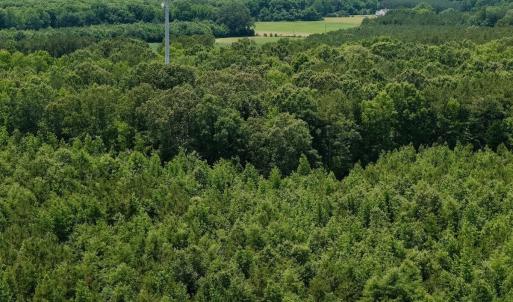 Photo #44 of Off Indian Woods Road, Windsor, NC 17.6 acres