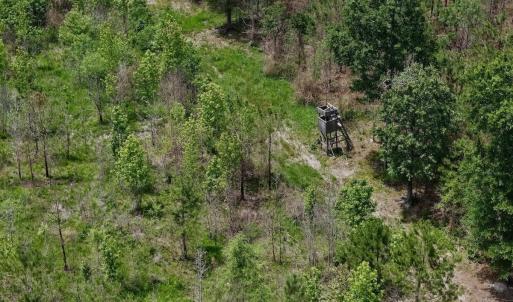 Photo #45 of Off Indian Woods Road, Windsor, NC 17.6 acres