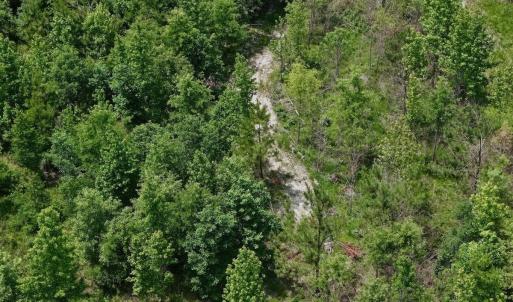 Photo #46 of Off Indian Woods Road, Windsor, NC 17.6 acres