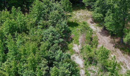 Photo #47 of Off Indian Woods Road, Windsor, NC 17.6 acres
