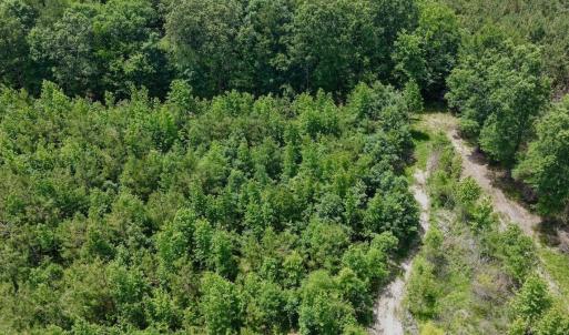 Photo #48 of Off Indian Woods Road, Windsor, NC 17.6 acres