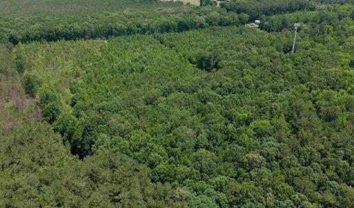Photo #49 of Off Indian Woods Road, Windsor, NC 17.6 acres