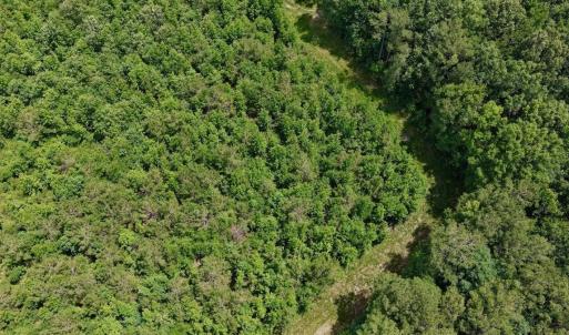 Photo #50 of Off Indian Woods Road, Windsor, NC 17.6 acres