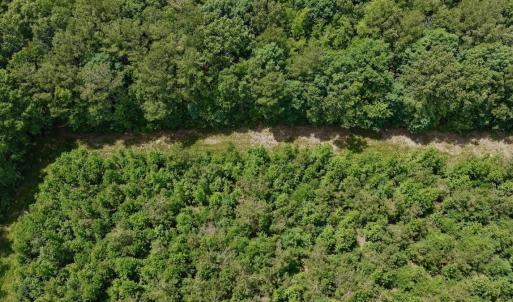 Photo #51 of Off Indian Woods Road, Windsor, NC 17.6 acres
