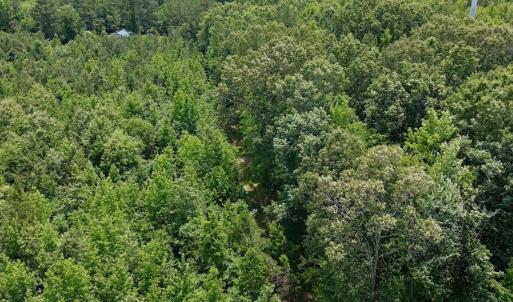 Photo #52 of Off Indian Woods Road, Windsor, NC 17.6 acres