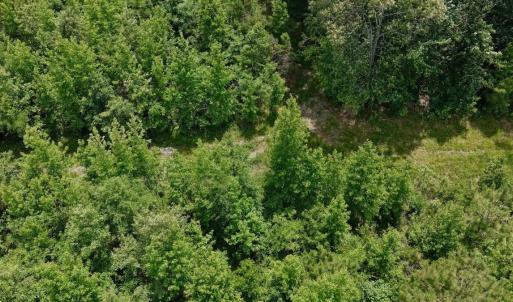 Photo #53 of Off Indian Woods Road, Windsor, NC 17.6 acres