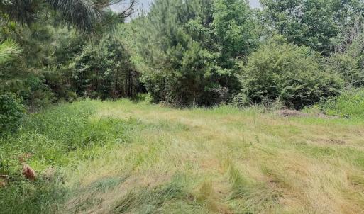 Photo #56 of Off Indian Woods Road, Windsor, NC 17.6 acres