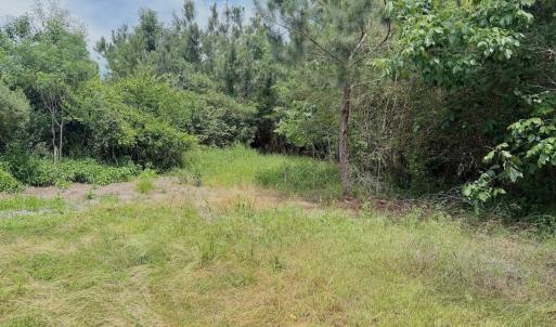 Photo #57 of Off Indian Woods Road, Windsor, NC 17.6 acres