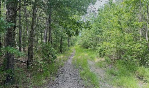 Photo #58 of Off Indian Woods Road, Windsor, NC 17.6 acres