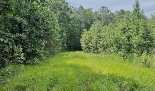 Photo #59 of Off Indian Woods Road, Windsor, NC 17.6 acres