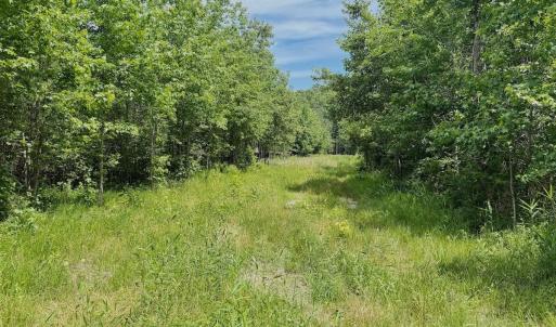 Photo #60 of Off Indian Woods Road, Windsor, NC 17.6 acres