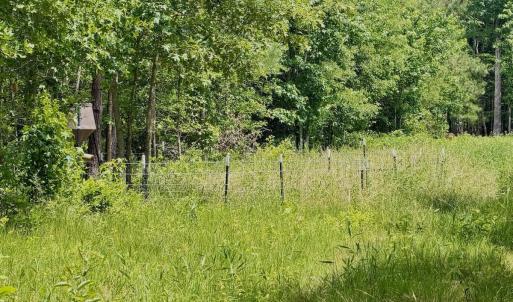 Photo #61 of Off Indian Woods Road, Windsor, NC 17.6 acres