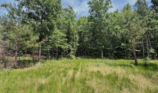 Photo #63 of Off Indian Woods Road, Windsor, NC 17.6 acres